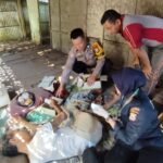 WhatsApp Image 2025-08-12 at 13.00.22