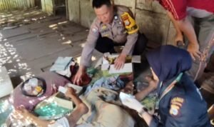 WhatsApp Image 2025-08-12 at 13.00.22