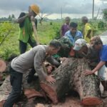 WhatsApp Image 2025-11-12 at 22.11.46