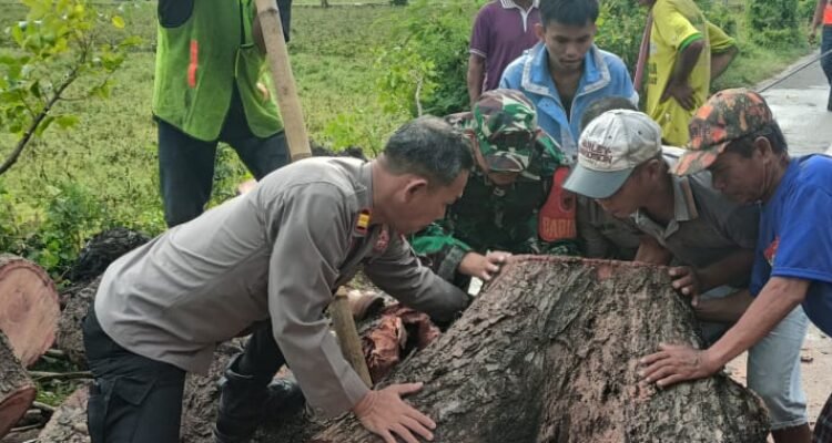 WhatsApp Image 2025-11-12 at 22.11.46