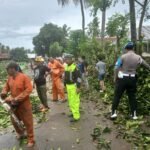 WhatsApp Image 2025-11-15 at 14.15.05