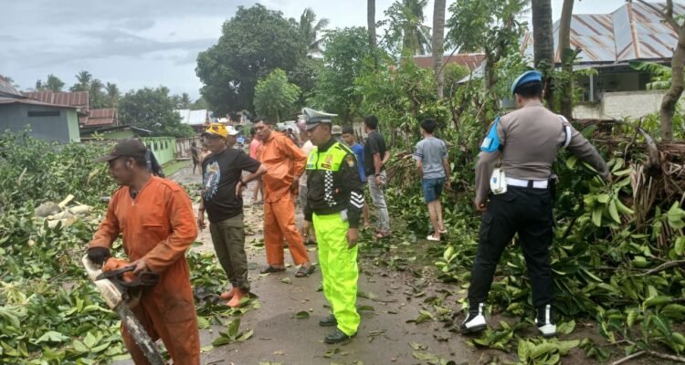 WhatsApp Image 2025-11-15 at 14.15.05