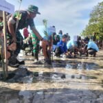 WhatsApp Image 2025-11-23 at 17.27.22