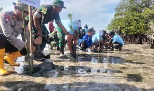 WhatsApp Image 2025-11-23 at 17.27.22