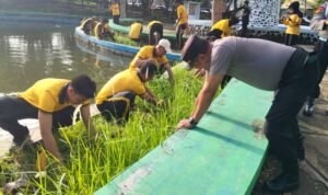 WhatsApp Image 2026-02-06 at 14.26.17