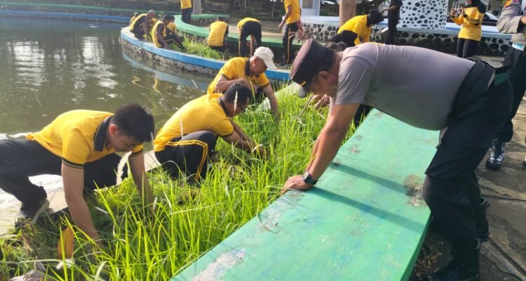 WhatsApp Image 2026-02-06 at 14.26.17