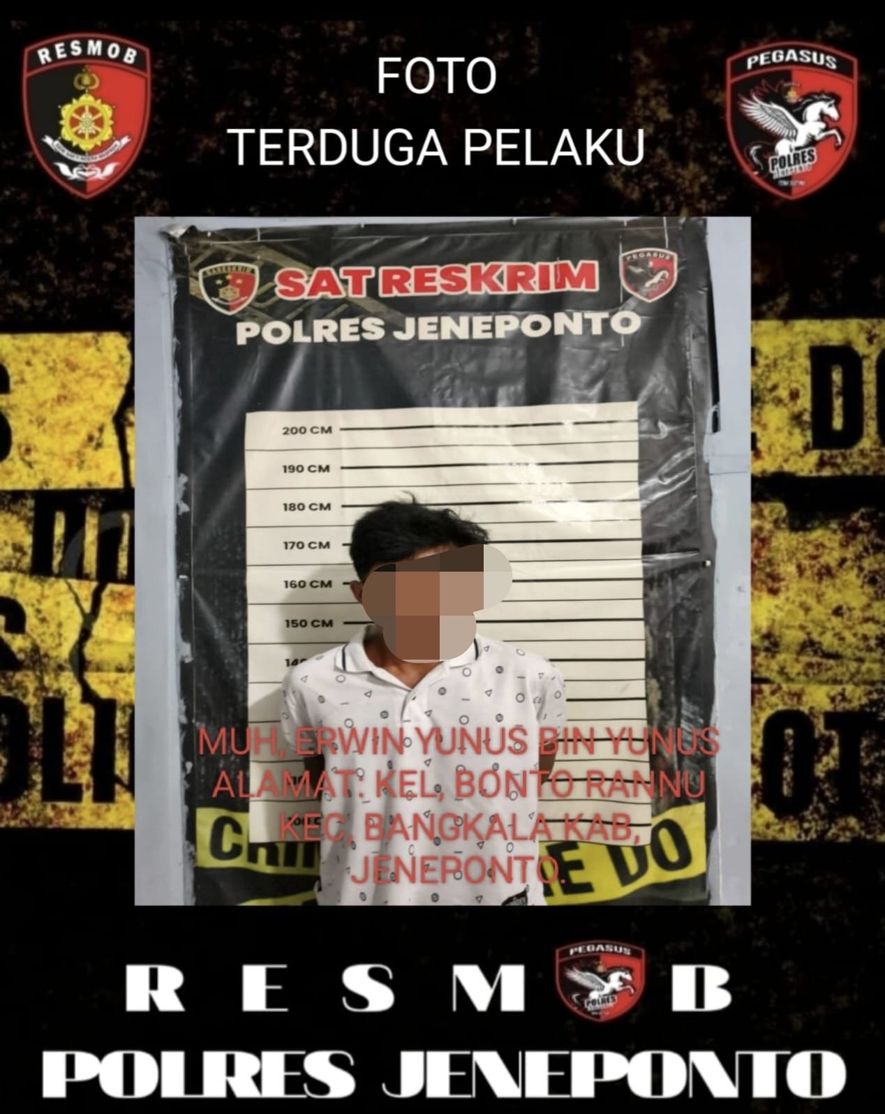 WhatsApp Image 2026-03-15 at 11.02.11